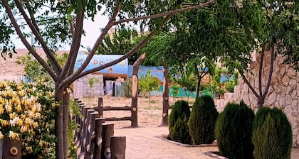 Petra dad farm