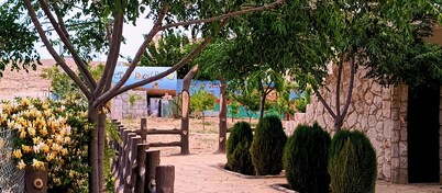 Petra dad farm