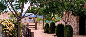 Petra dad farm