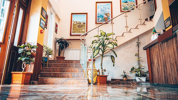 Un magnifique escalier en marbre, bordé de plantes en pot et orné de tableaux encadrés accrochés aux murs.