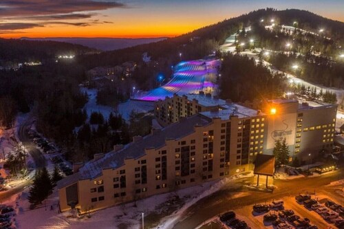 Comfy/Cozy Condo in Snowshoe, WV