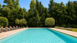 Outdoor pool - Mas des Bécasses in Provence 22 pax (Arles)