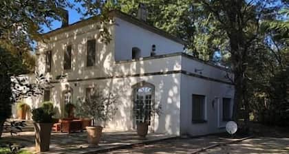 Mas des Bécasses in Provence 22 pax