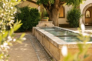 A stone water feature with a tree and greenery in a courtyard. - Mas des Bécasses in Provence 22 pax (Arles)