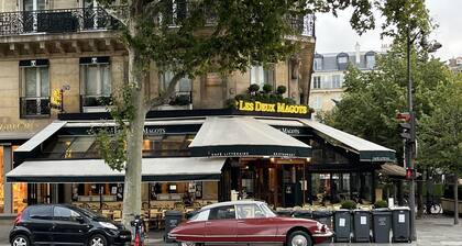 Cozy Nest in the Heart of Saint Germain des Pres - Rue du Dragon Left Bank condo