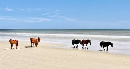 *NEW -25ft to Beach, 2br. Oceanviews.Pool.Hot Tub