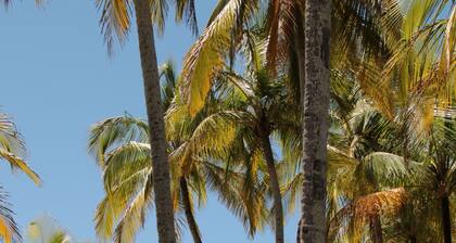 Casita Pura Vida: Newly Remodeled Home - 5 minute drive from local beaches!