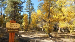A trailhead sign for Pineknot Trailhead in San Bernardino National Forest. - Fox Farm Manor (Big Bear Lake)