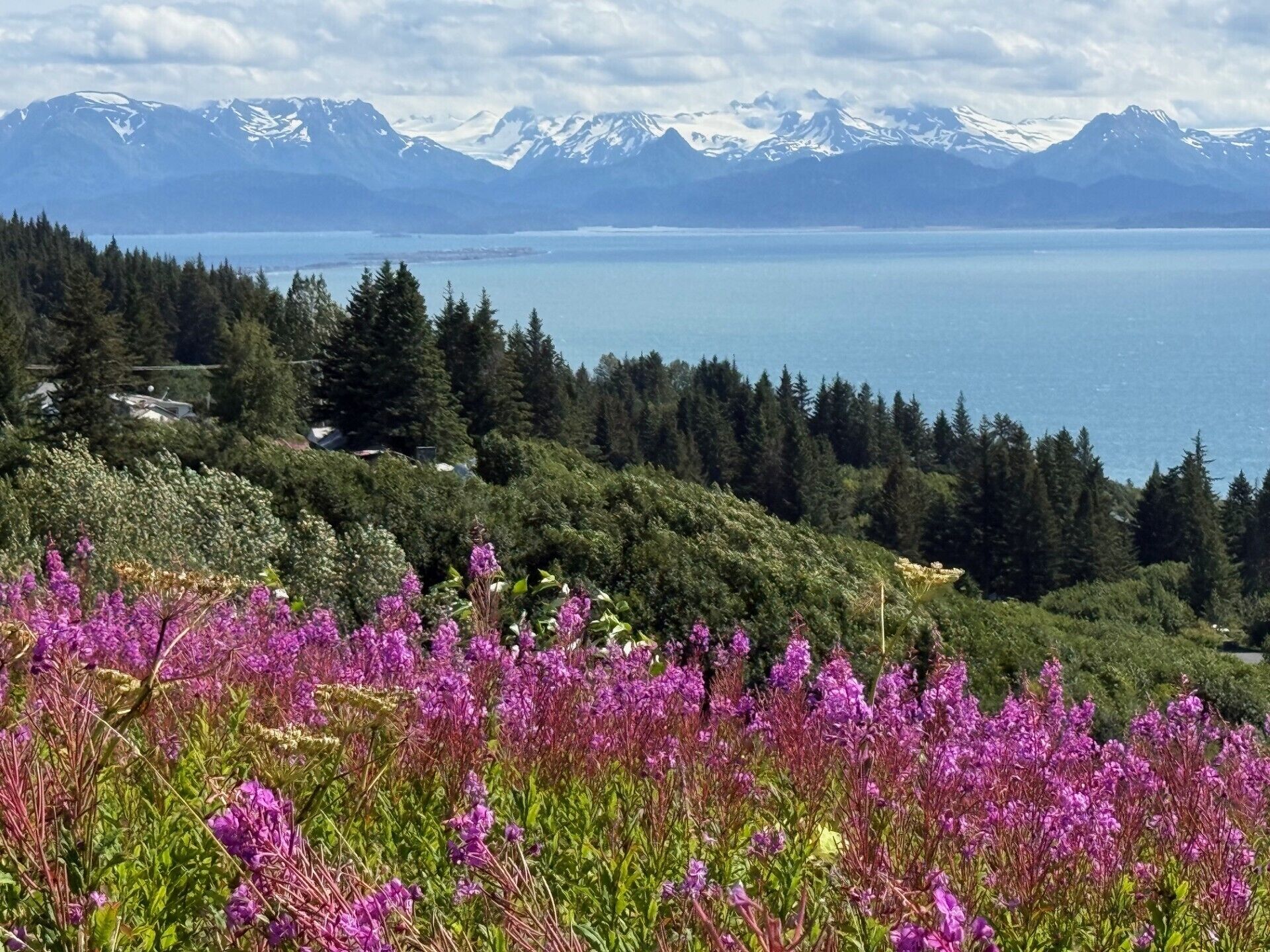 A mountainous landscape with a lake and snow-capped peaks in the background.