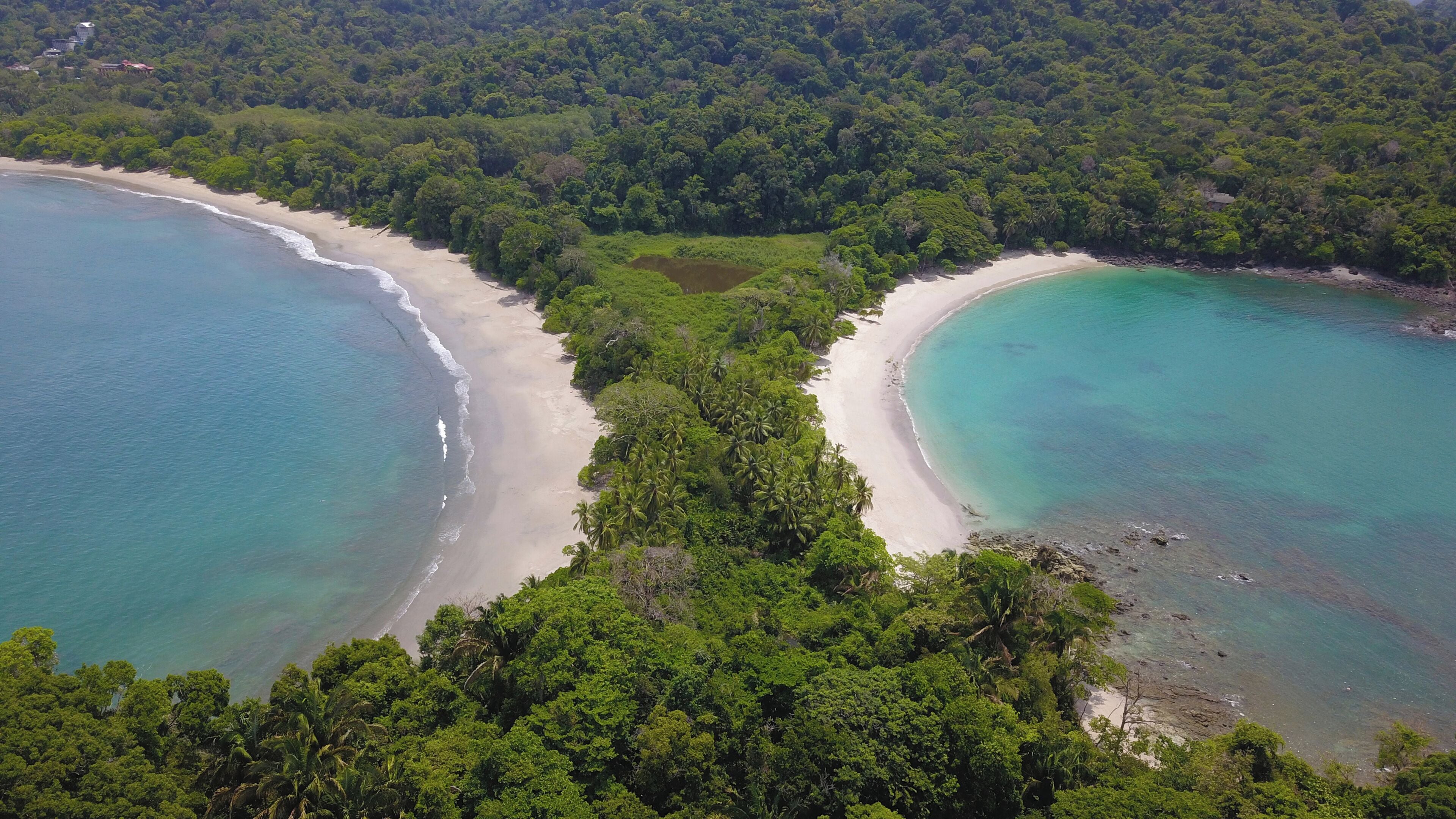 Vista aérea de una playa tropical con dos líneas costeras curvas, zonas boscosas densas y aguas turquesas cristalinas.