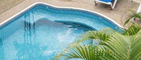 A swimming pool with clear blue water, surrounded by a tiled edge and palm plants.