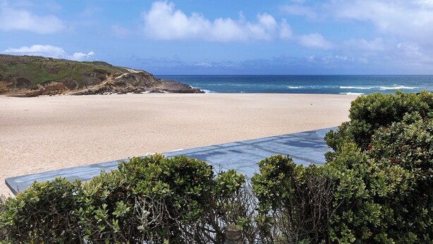 Une plage avec un ciel dégagé, un rivage sablonneux et quelques plantes vertes au premier plan.