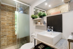 Shower, hair dryer, towels