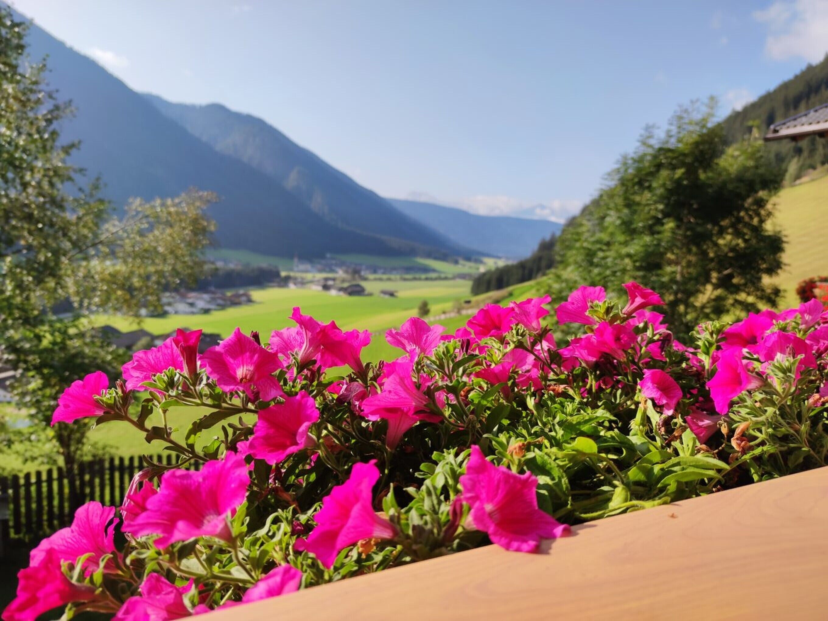 Detall de l'exterior