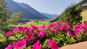 Detall de l'exterior