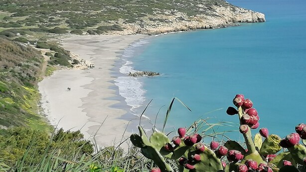 A coastal landscape with a beach, rocky cliffs, and a cactus in the foreground. - Vacation Home 'Il Lentischio - Corbezzolo' in Cala Lunga 200 Meters from the Sea (Sant'antioco)