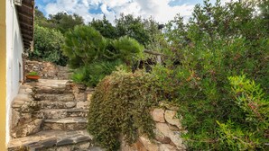 A stone staircase leading to a building with a yellow wall, surrounded by various plants and trees. - Vacation Home 'Il Lentischio - Corbezzolo' in Cala Lunga 200 Meters from the Sea (Sant'antioco)