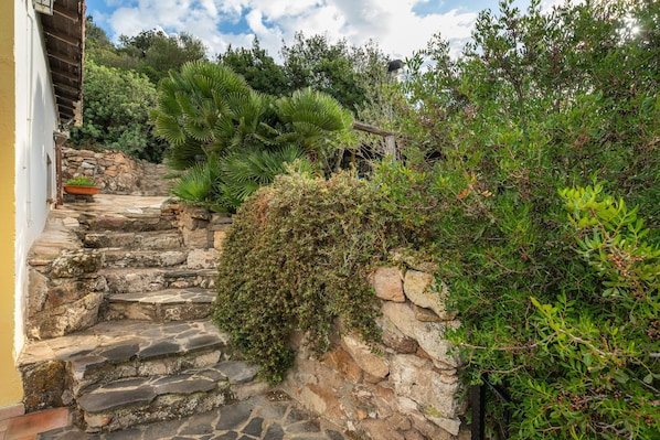 Un escalier en pierre mène à un bâtiment dont le mur est jaune, et qui est entouré de différentes plantes et arbres.