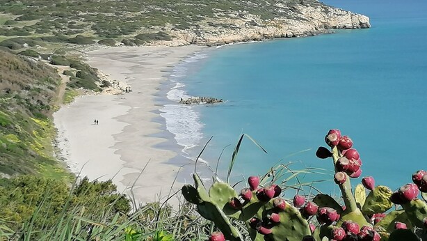 A coastal landscape with a beach, rocky cliffs, and a cactus in the foreground. - Vacation Home 'Il Lentischio - Rosmarino' in Cala Lunga 200 Metres from the Sea (Sant'antioco)
