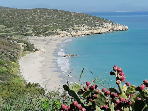 Playa en los alrededores 