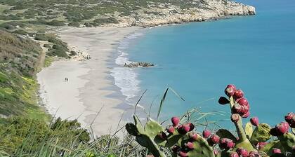 Ferienhaus 'Il Lentischio - Rosmarino' in Cala Lunga 200 Meter vom Meer entfernt
