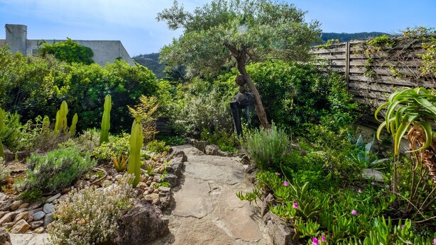 A garden with a stone pathway, various plants, and a wooden fence.