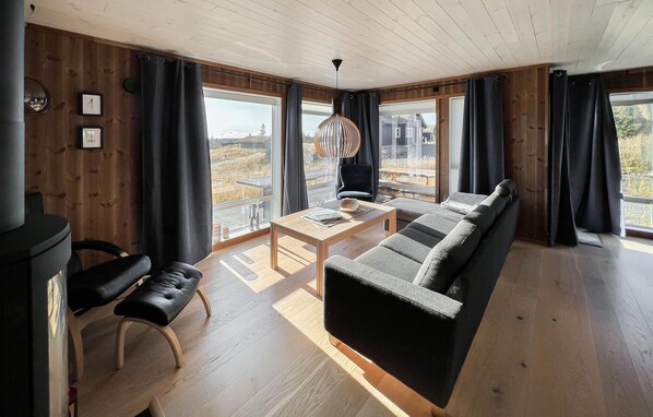 Smart-TV, Kamin