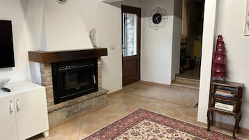 A living room with a fireplace, a TV, a bookshelf, and a patterned rug.