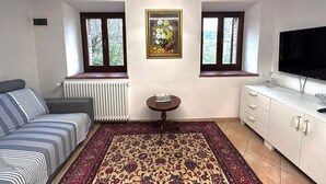 Un salon comprenant un canapé, un téléviseur, un radiateur, une fenêtre, un tableau et un tapis à motifs.