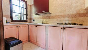 Frigorífic, microones i placa de cuina