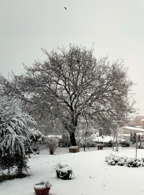 Property grounds - Studio Apartment "Il Colle dei Frati" with Private Terrace & Wi-Fi (Sinalunga)