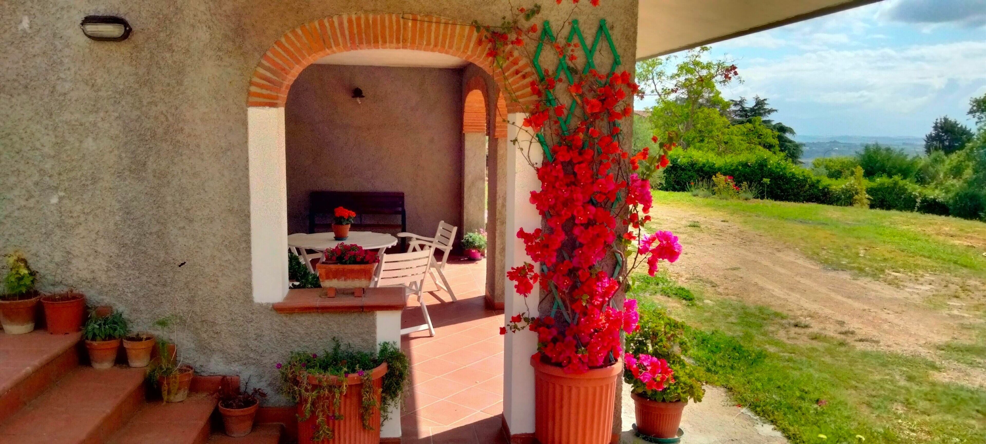 Zona d'estar exterior coberta amb taula i cadires, envoltada de plantes en testos i vista del camp.