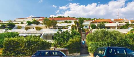 المنطقة المحيطة بالمنشأة