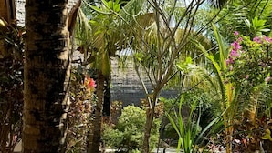 Un sendero en un jardín tropical con palmeras y diversas plantas.