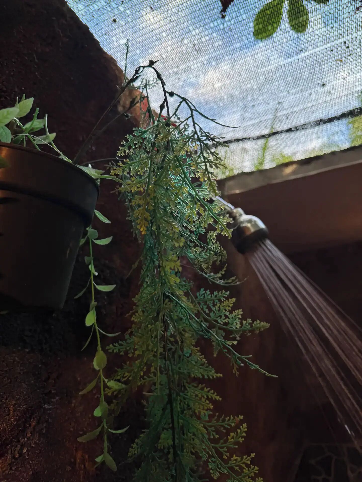 Photo - Nelly Homestay Bungalows Gili Air