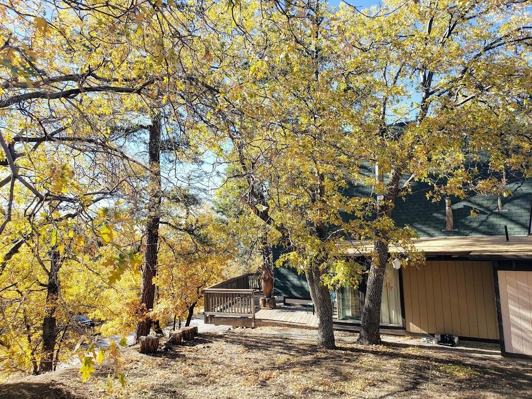 Un quartier résidentiel où les arbres arborent leurs couleurs automnales, avec une terrasse en bois et une maison dotée d’un garage.
