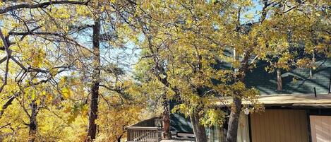 Un quartier résidentiel où les arbres arborent leurs couleurs automnales, avec une terrasse en bois et une maison dotée d’un garage.