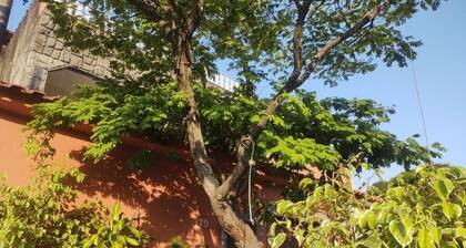 Casa Confortável 20miinutos Da Praia