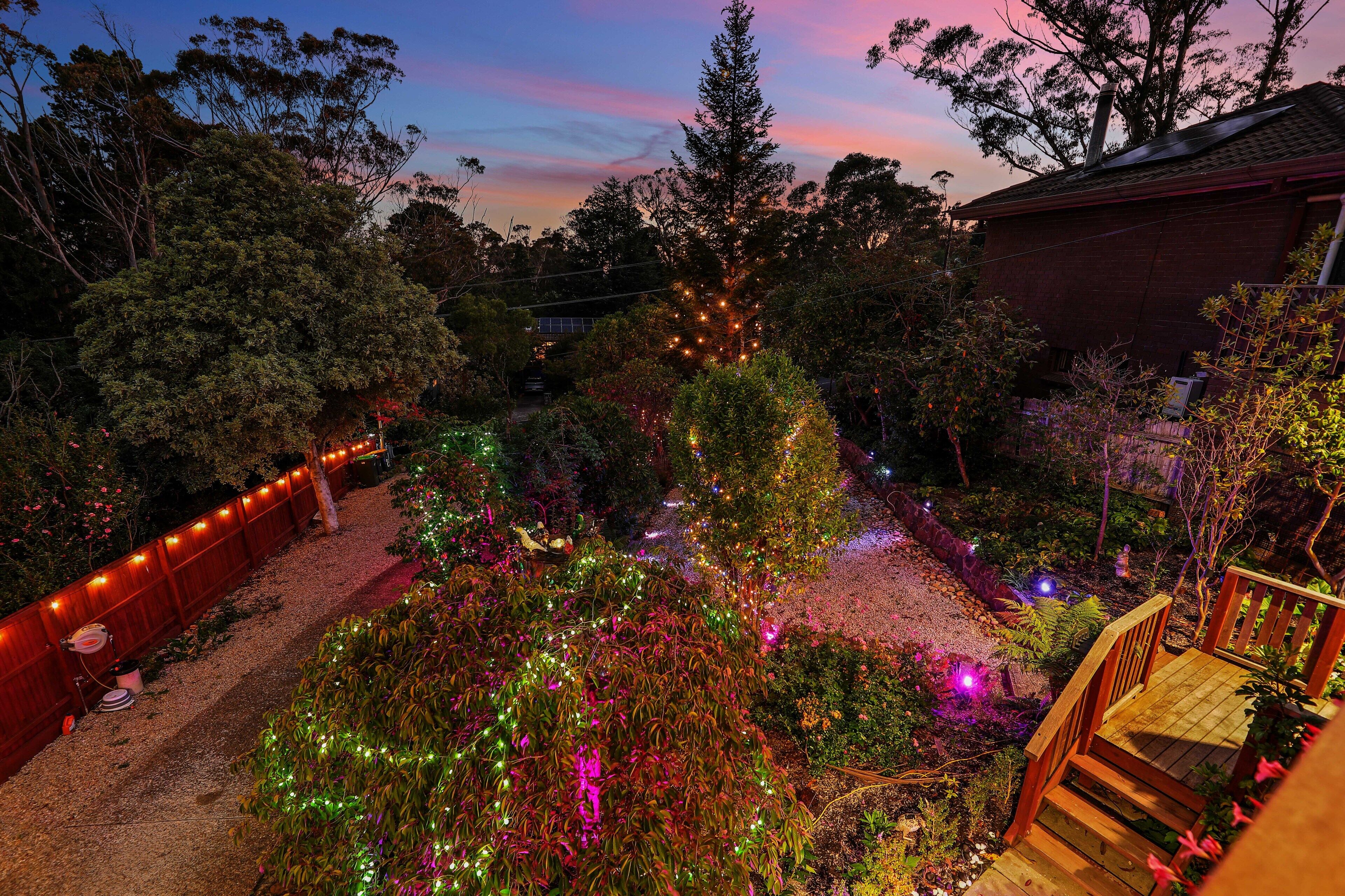 A garden with trees and a wooden deck.