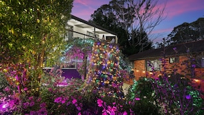 A house with a garden at dusk, featuring a tree wrapped in colorful lights and a brick building in the background.