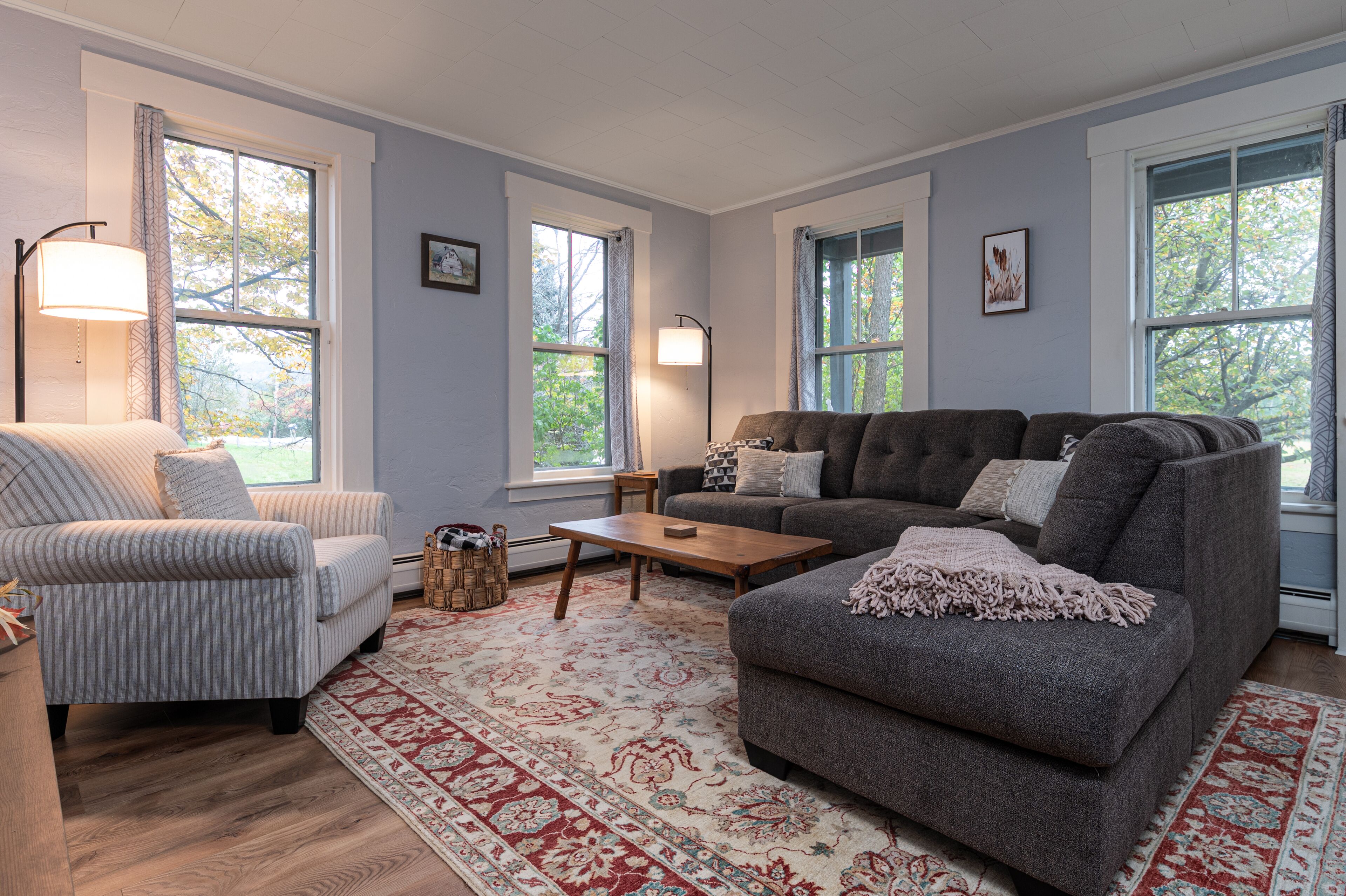 Smart-TV, peis, bordtennis og bøker