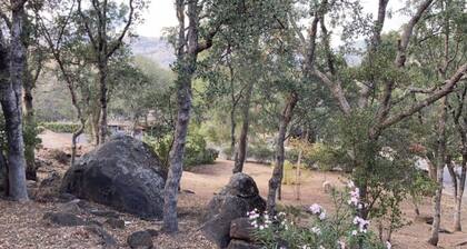 Hillside hideaway at the gateway to the Sequoias and Kings Canyon National Park.