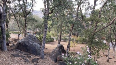 Hillside hideaway at the gateway to the Sequoias and Kings Canyon National Park.