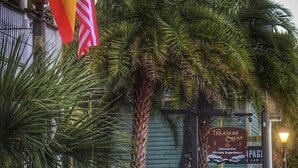 A street view with a wooden fence, palm trees, and a sign for 'Treasure Chest Interactive History Experience'. - Center of Saint Augustine Beach (St. Augustine)