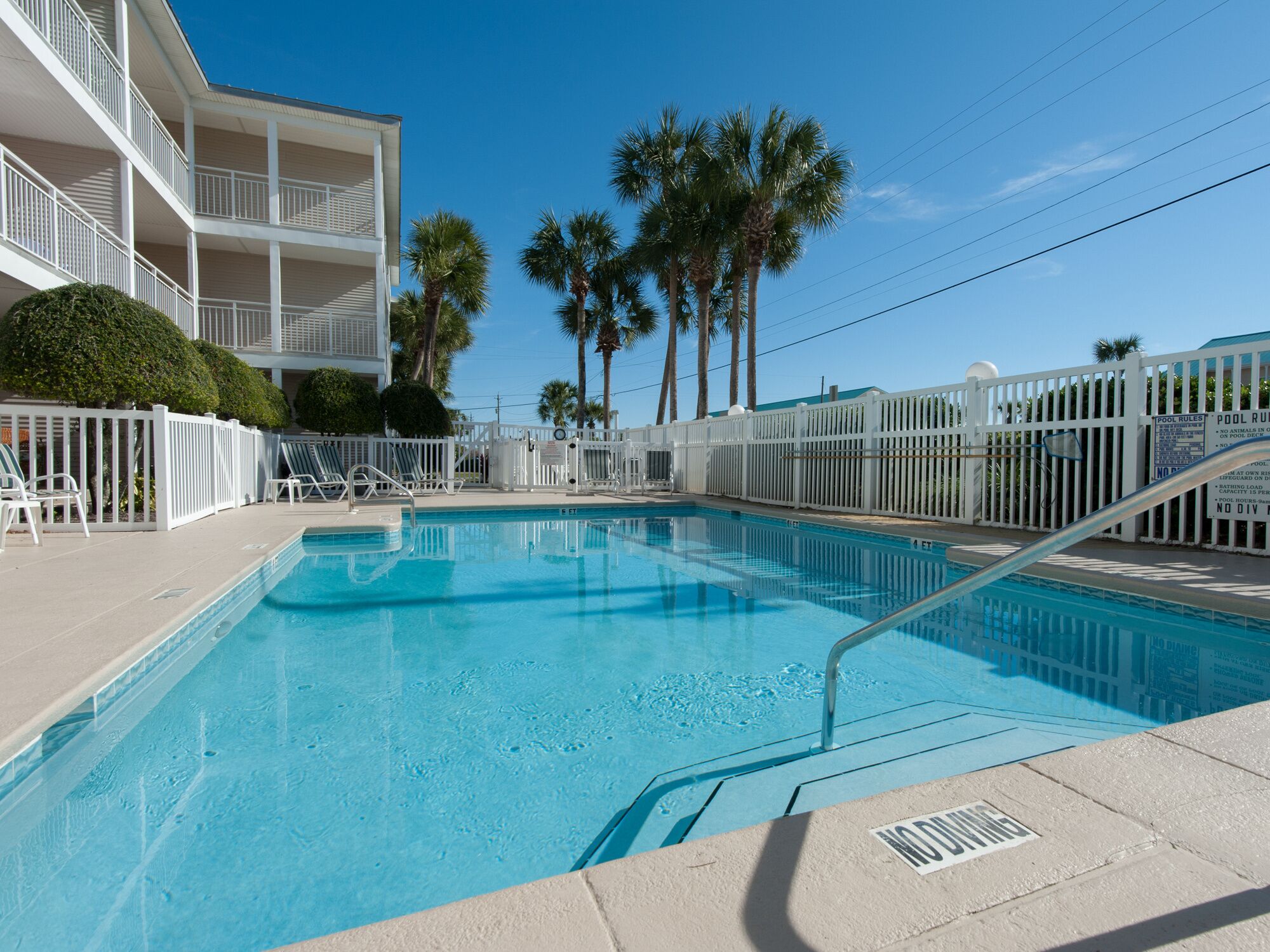 A swimming pool with a white fence, palm trees, and a multi-story building in the background.