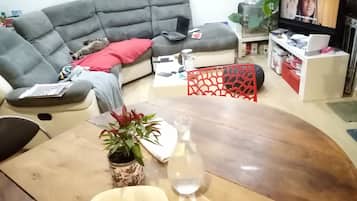 Televisie, tafelvoetbal, boeken en een printer