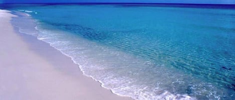 Playa en los alrededores
