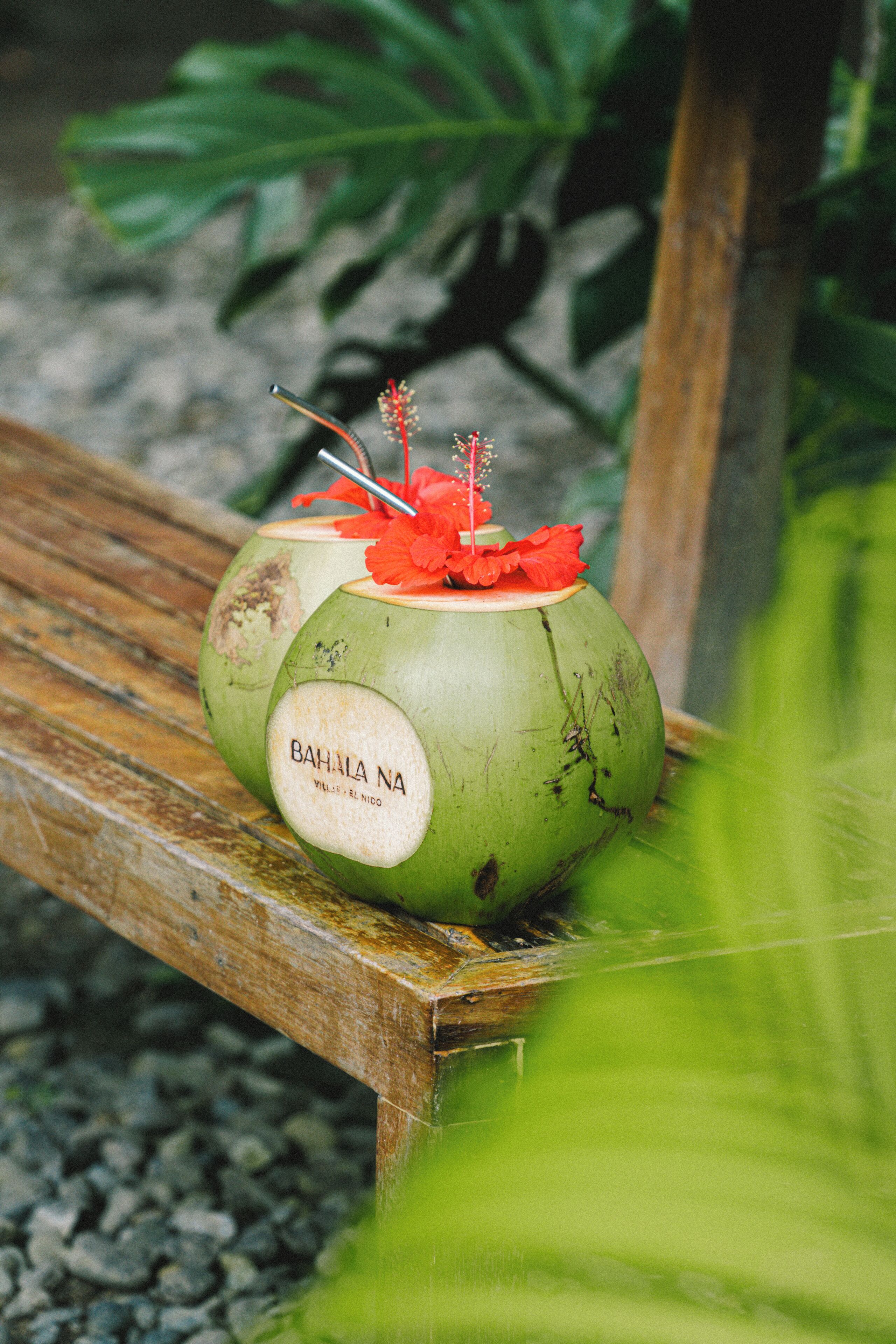 Un coco con una etiqueta y una flor roja sobre un banco de madera.