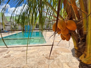 Outdoor pool, pool umbrellas, pool loungers - Sunrise Hotel & Resort (Jambiani)