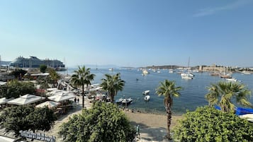 Superior Studio Suite | View from room